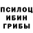 Галлюциногенные грибы мицелий Dwane91