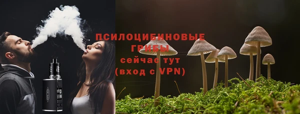 твердый Михайловка