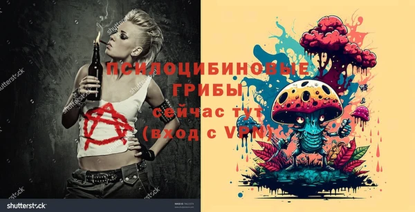 марки lsd Михайлов