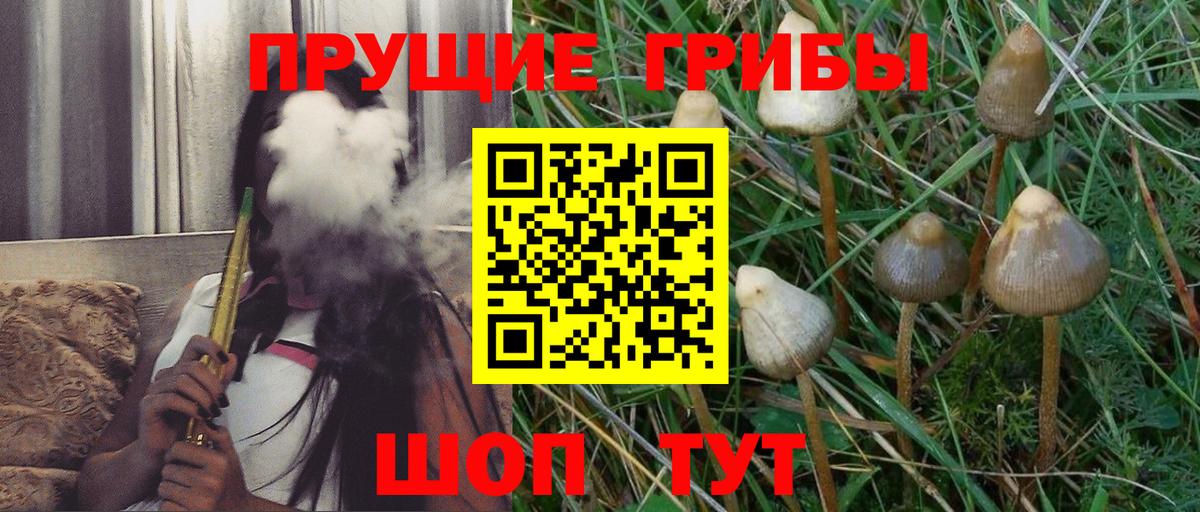 Псилоцибиновые грибы Psilocybe  Вход с VPN  Галлюциногенные грибы мухоморы  Шадринск 